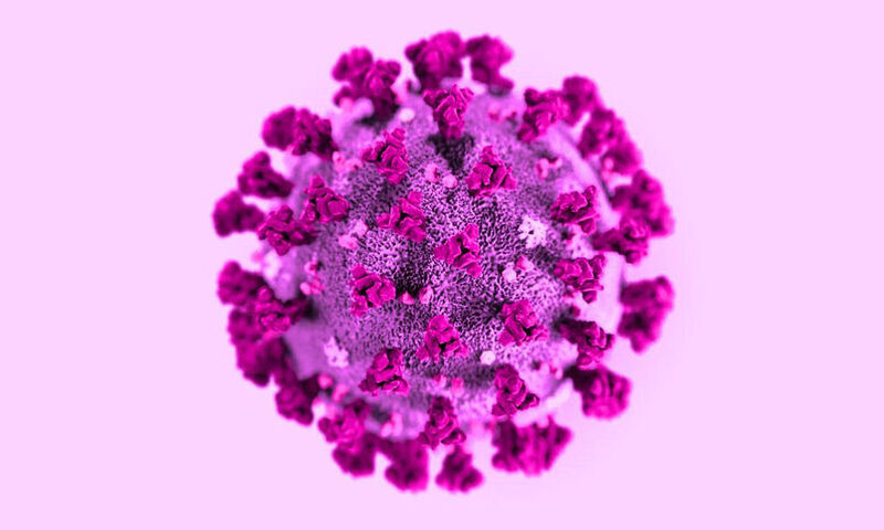 coronavirus-epidhmia-5 (1)